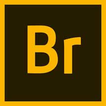 How to download Adobe Bridge CC 2021 for free